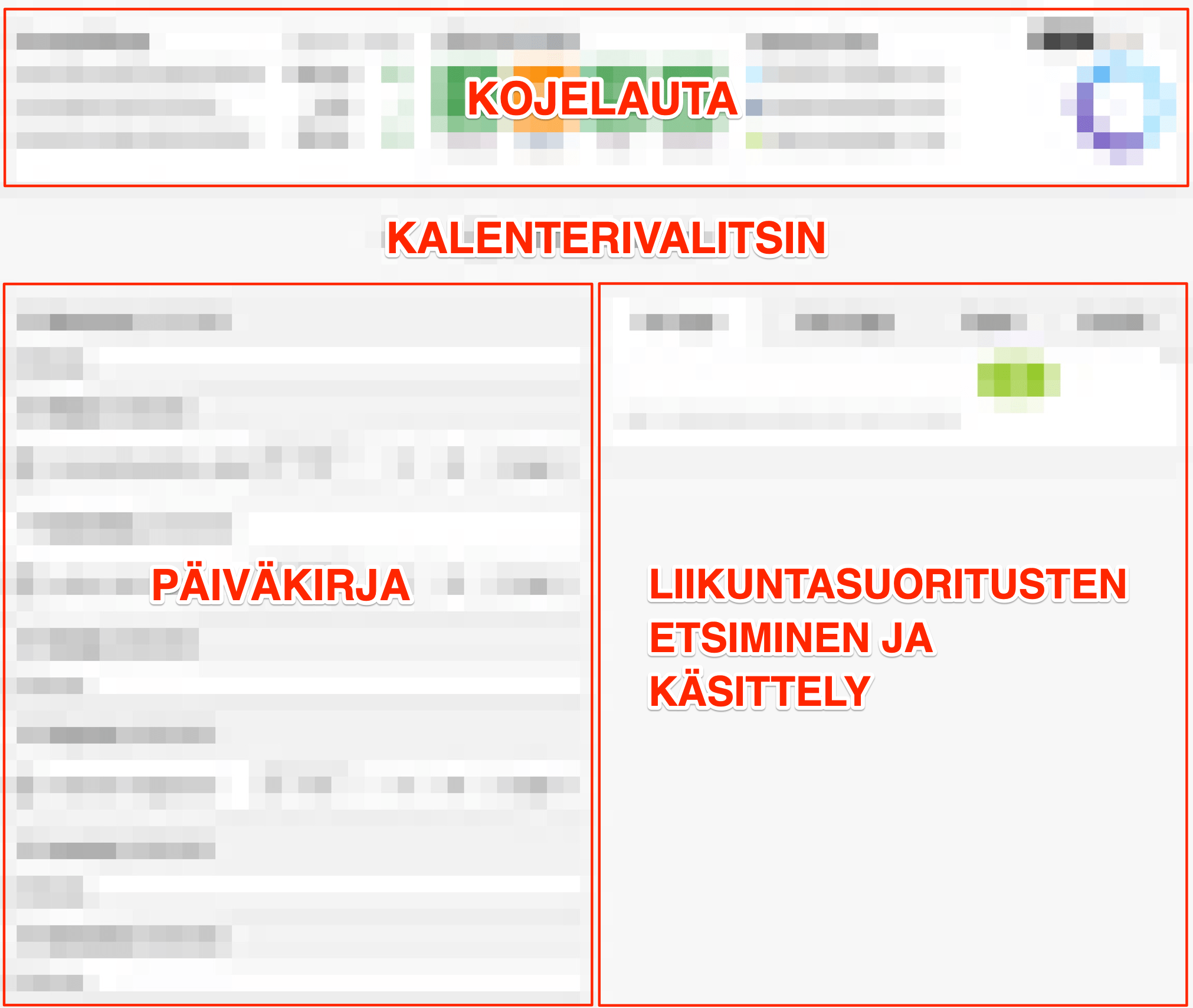 ohjeet_liikuntapaivakirja_rakenne.png